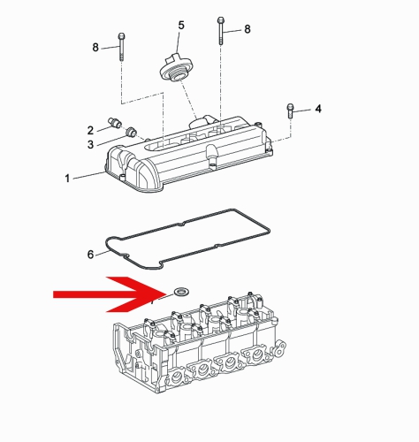 Seal ring Spark plug hole